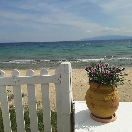 House Kokkalas On The Beach 피르가디키아 외부 사진