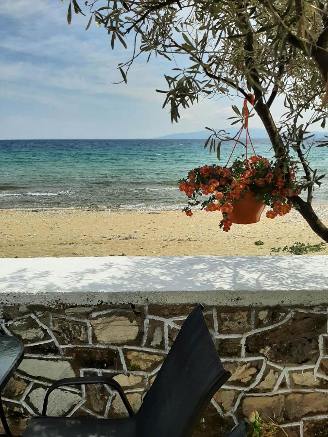 House Kokkalas On The Beach 피르가디키아 외부 사진