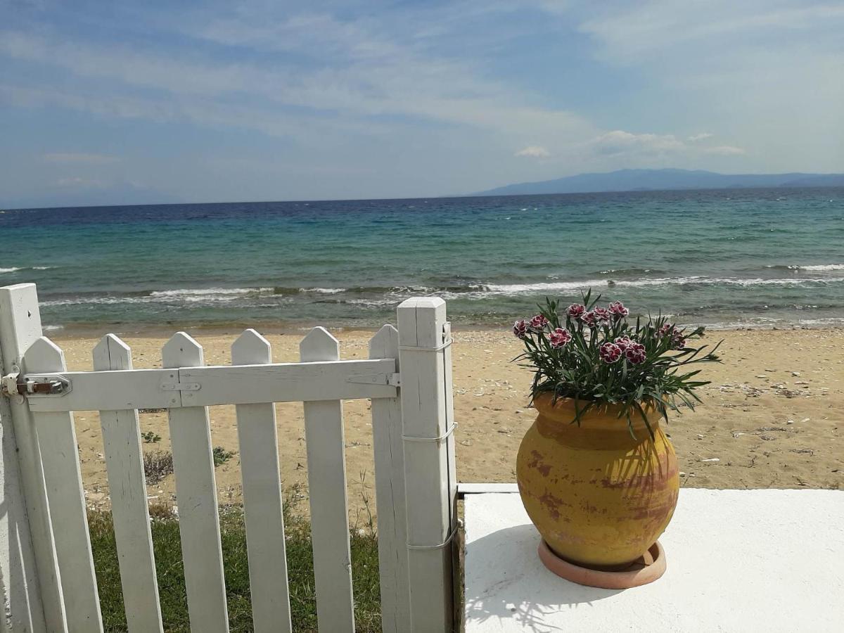 House Kokkalas On The Beach 피르가디키아 외부 사진